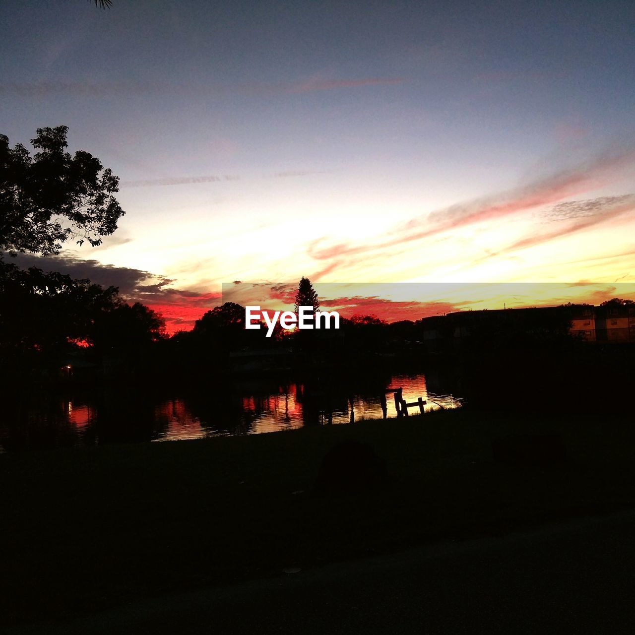 SILHOUETTE TREES AT SUNSET