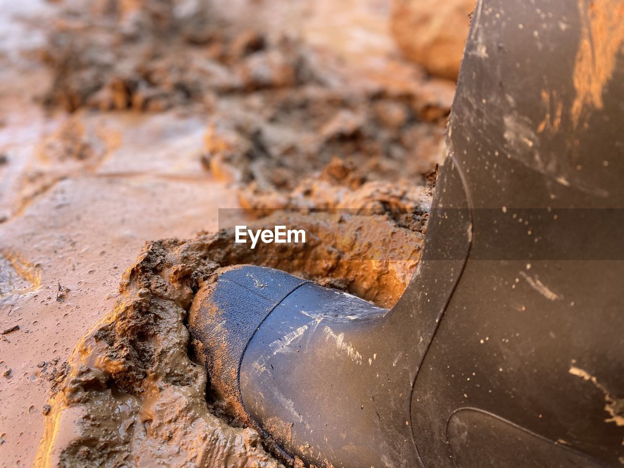 rock, soil, nature, sand, close-up, land, water, no people, wood, day, outdoors, mud, macro photography, wildlife, geology, environment, wet, animal
