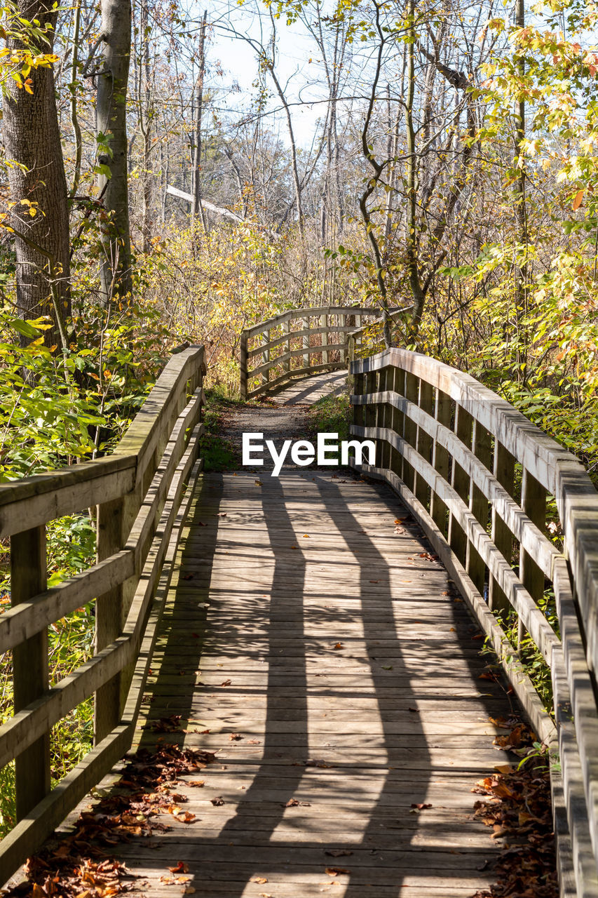tree, plant, autumn, nature, walkway, the way forward, footpath, leaf, railing, sunlight, bridge, footbridge, forest, tranquility, beauty in nature, wood, no people, shadow, land, day, architecture, tranquil scene, flower, outdoors, scenics - nature, woodland, boardwalk, trail, garden, non-urban scene, growth, landscape, built structure, split-rail fence, diminishing perspective, park, environment, pedestrian walkway, idyllic, park - man made space