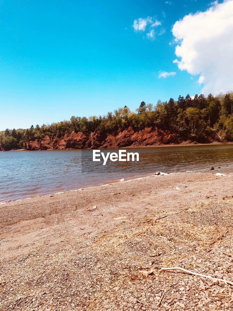 Scenic view of beach against blue sky