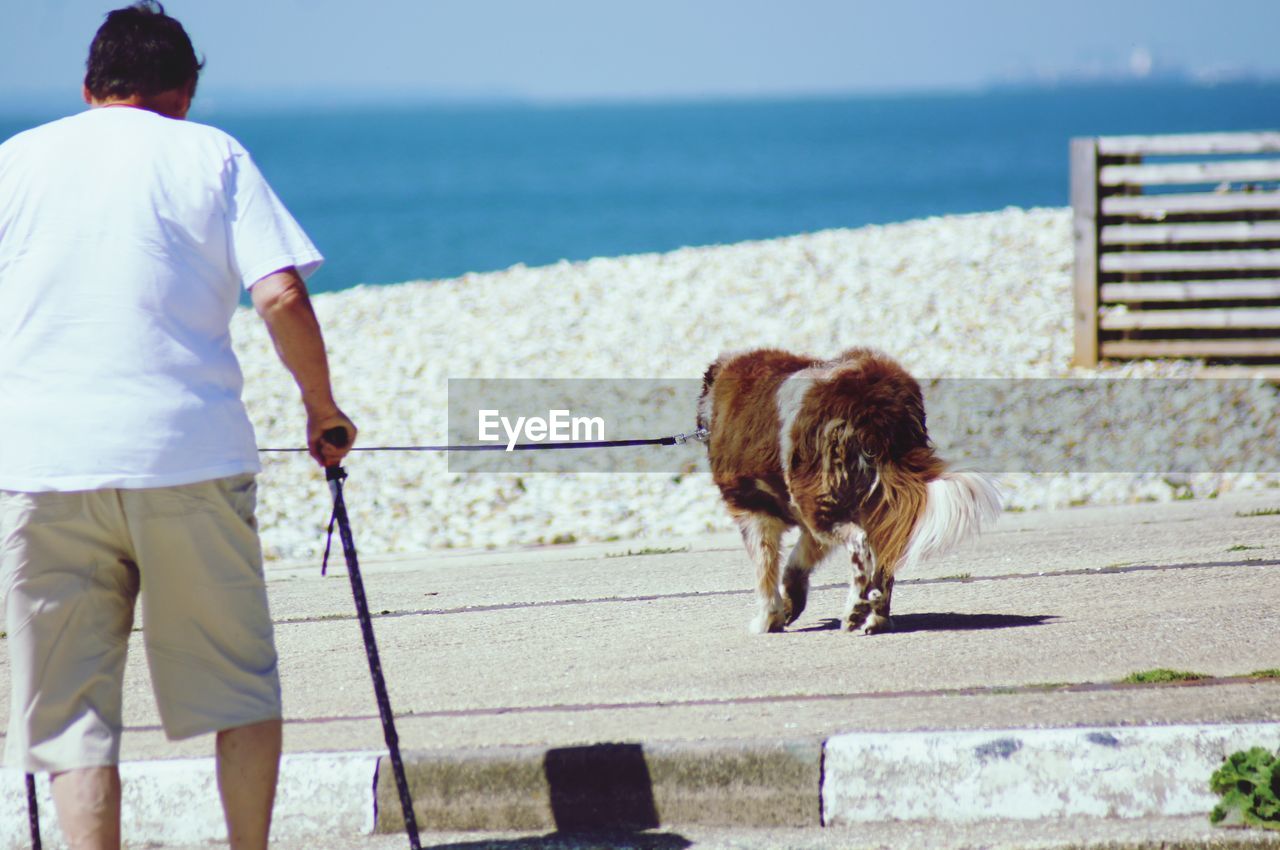 REAR VIEW OF MAN WITH DOG ON SHORE