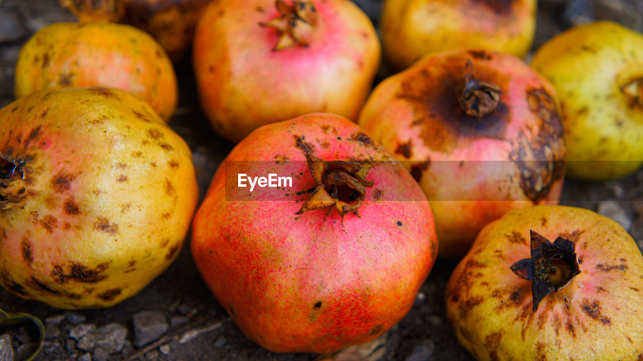 CLOSE-UP OF APPLES FOR SALE