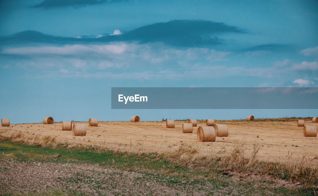 HAY BALES ON FIELD BY LANDSCAPE AGAINST SKY