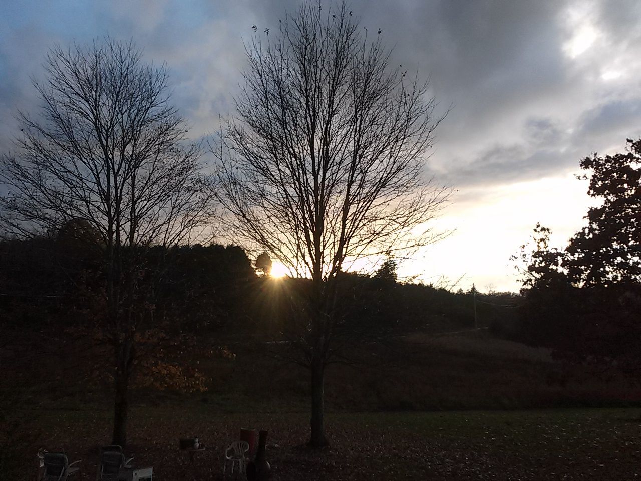 BARE TREES ON LANDSCAPE AT SUNSET