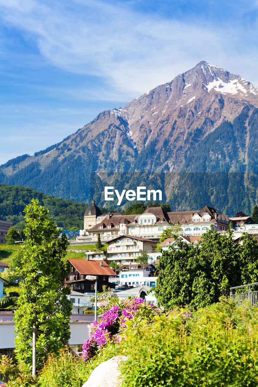 TREES AND HOUSES AGAINST MOUNTAINS