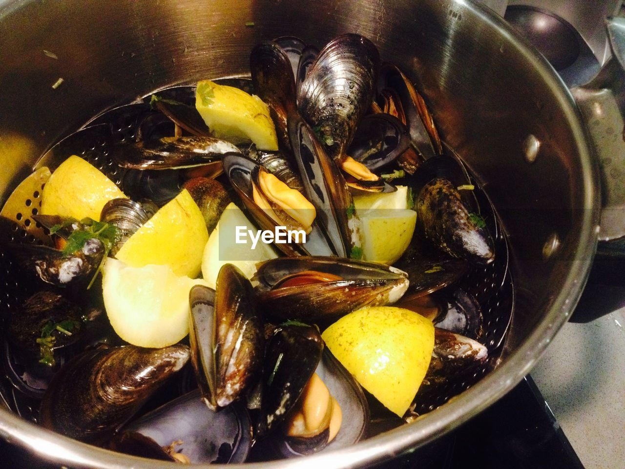 Close-up of mussels in cooking pan