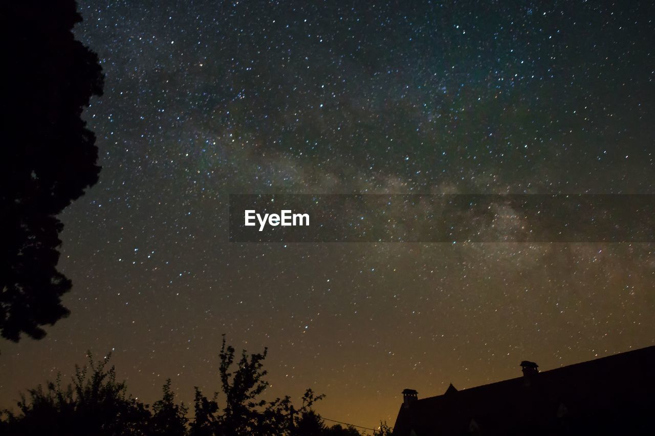 LOW ANGLE VIEW OF SILHOUETTE TREES AGAINST STAR FIELD AGAINST SKY