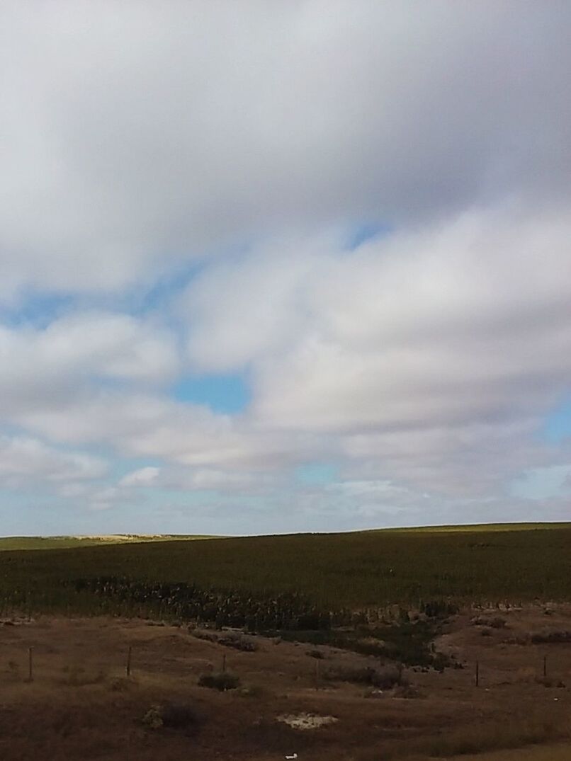 SCENIC VIEW OF RURAL LANDSCAPE AGAINST CLOUDY SKY