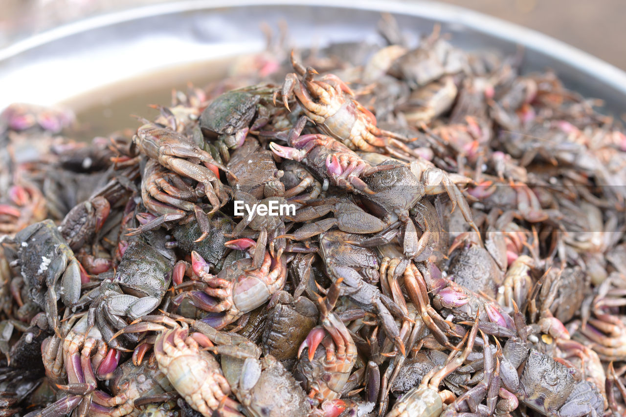 Top view of salted crab on the market at thailand, preserved crab with salt for sale.