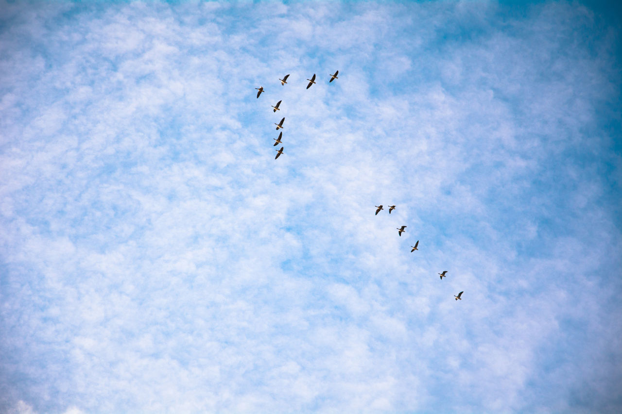 Low angle view of cloudy sky