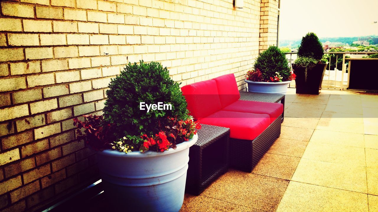 Potted plants and furniture on patio