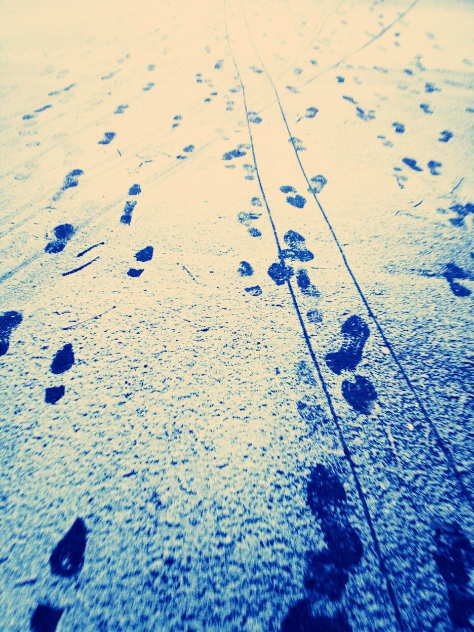 Footprints on beach sand