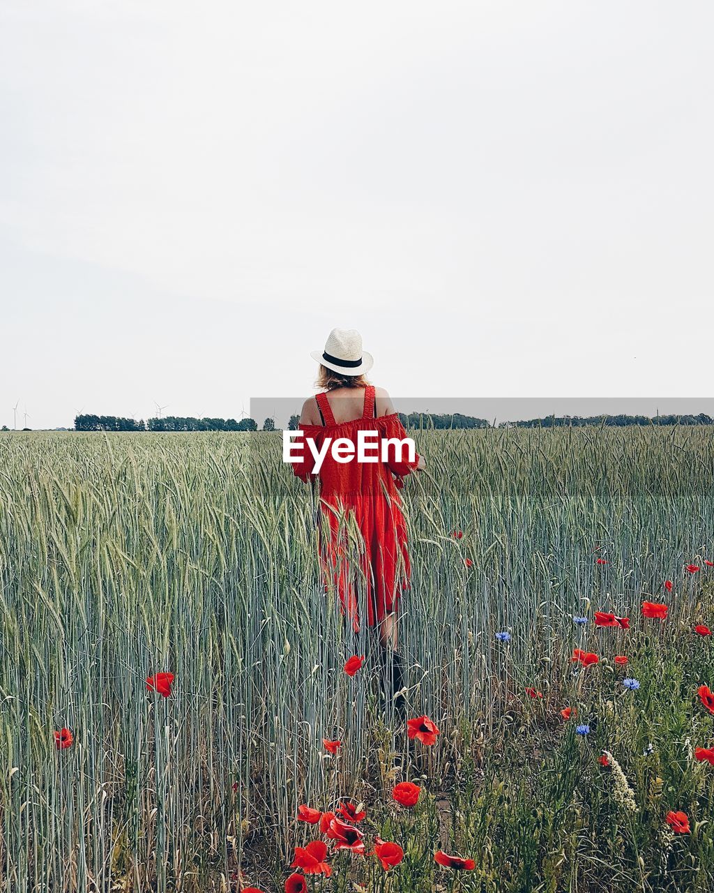 REAR VIEW OF WOMAN STANDING BY POPPY FIELD AGAINST CLEAR SKY