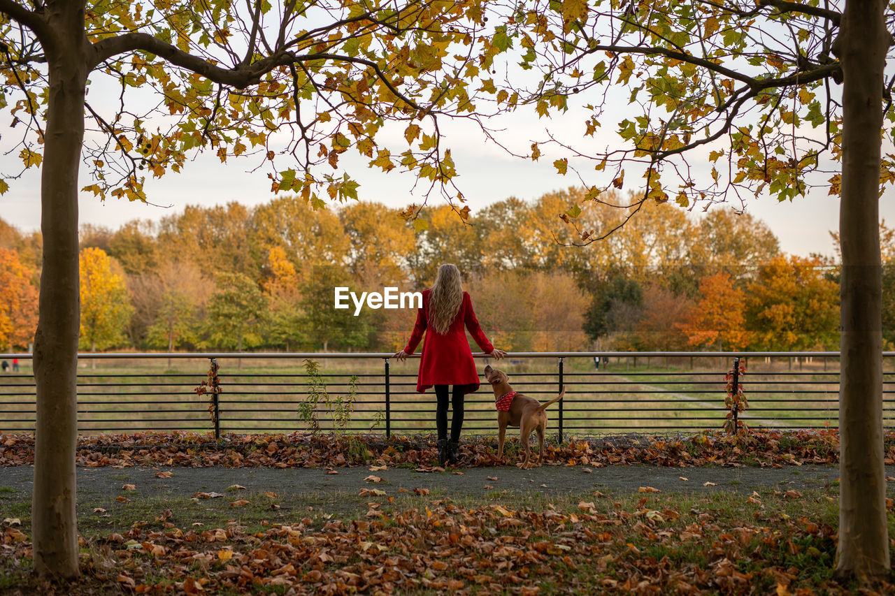 Rear view of woman standing by trees during autumn