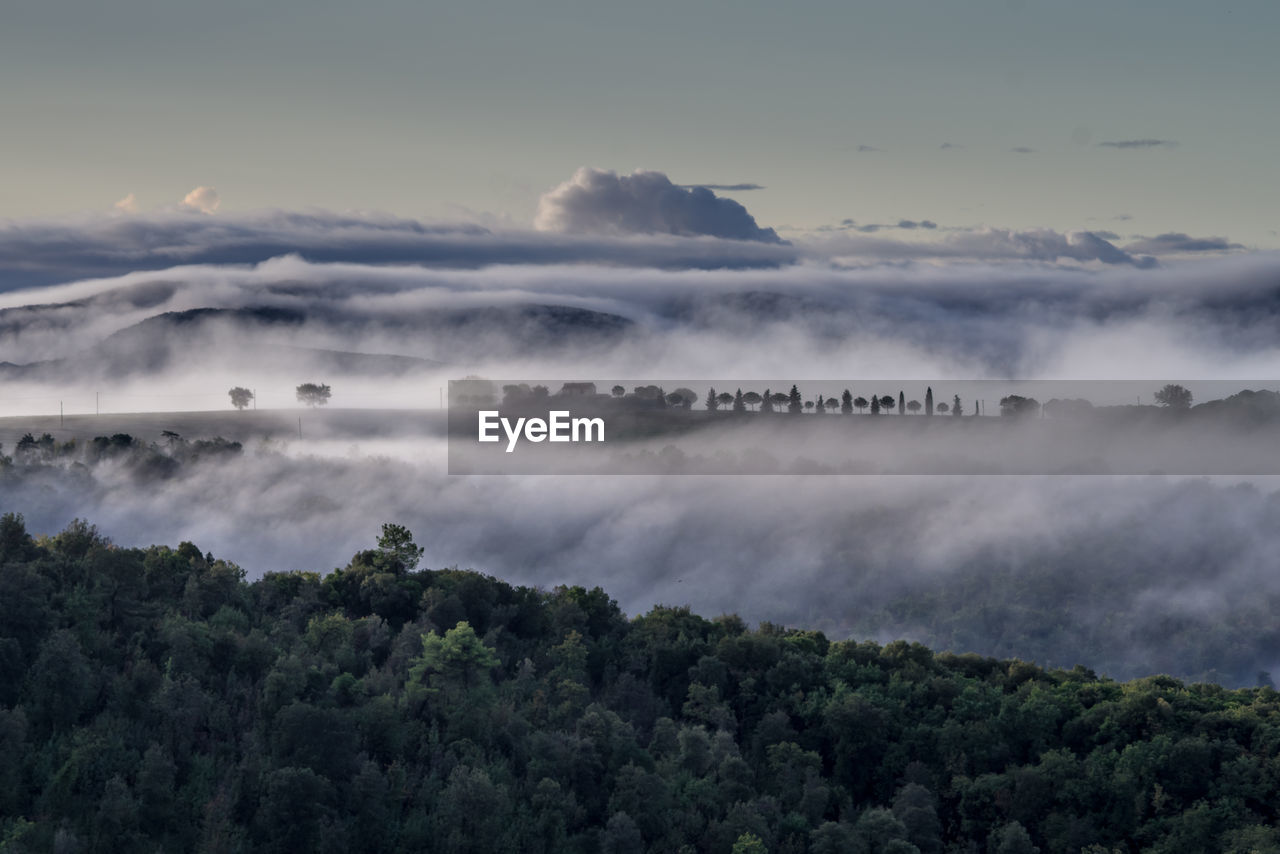 Foggy morning in the foothills between san gimignano and volterra.