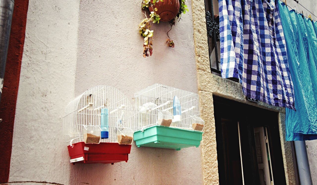 Two birdcages hanging near window of building