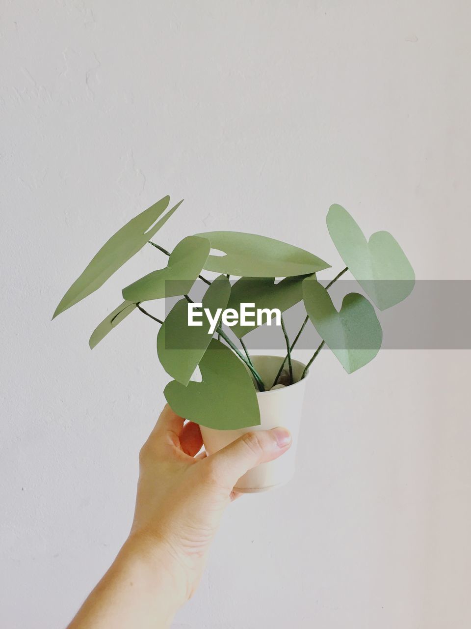Close-up of human hand holding artificial plant against white background