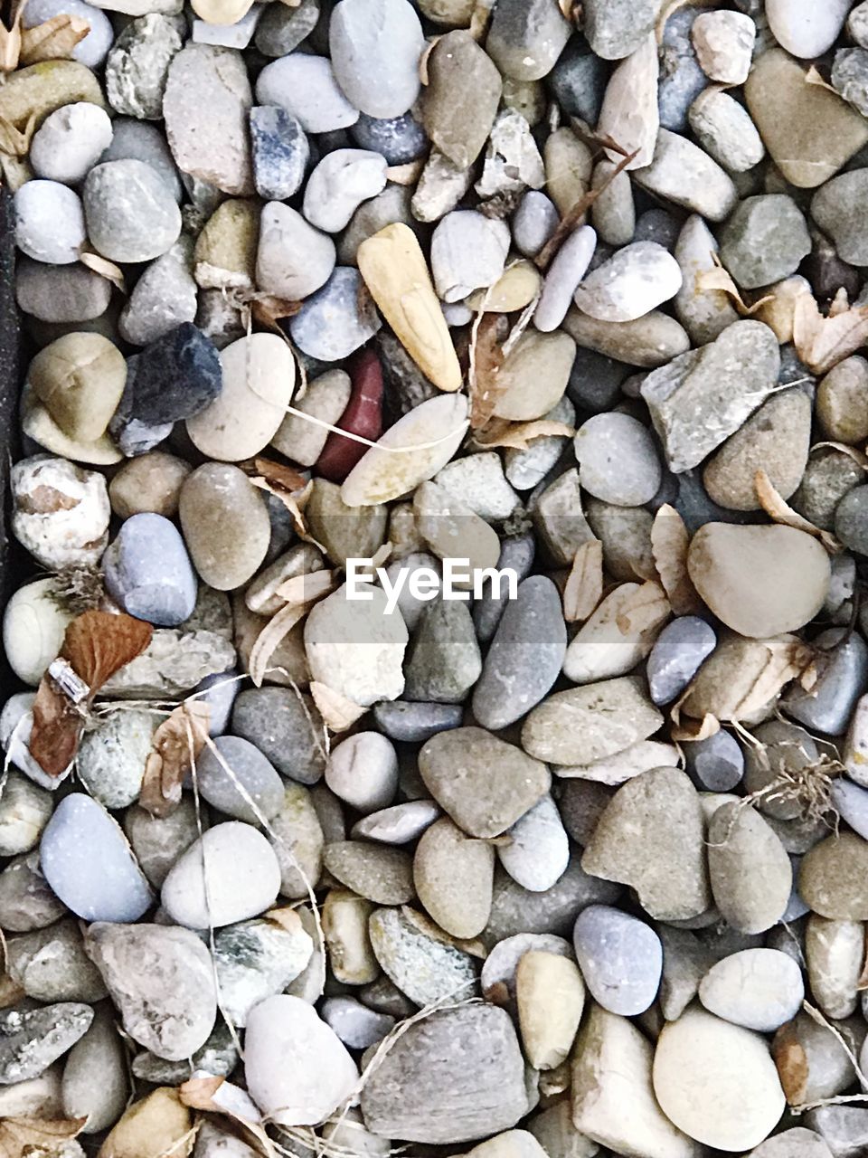 Full frame shot of pebbles on beach