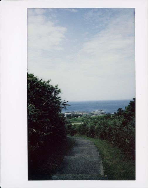 sky, plant, nature, sea, water, horizon, no people, cloud, day, tree, horizon over water, picture frame, scenics - nature, land, tranquility, outdoors, beauty in nature, tranquil scene, art, transfer print, beach, auto post production filter, grass, frame