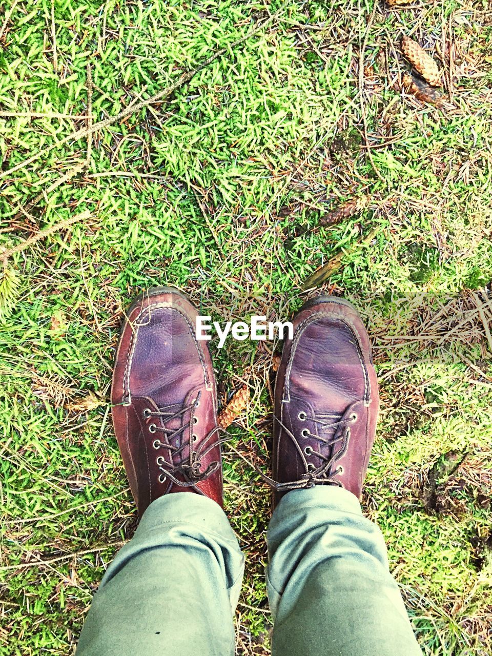 LOW SECTION OF PERSON STANDING ON GRASSY FIELD