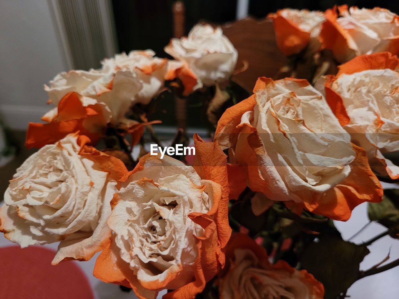 flower, bouquet, plant, floristry, petal, rose, no people, red, close-up, indoors, orange, freshness, floral design, beauty in nature, flowering plant, focus on foreground, garden roses, nature, food and drink, centrepiece, macro photography