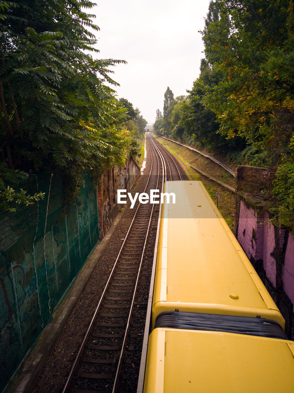 Empty railroad tracks along trees