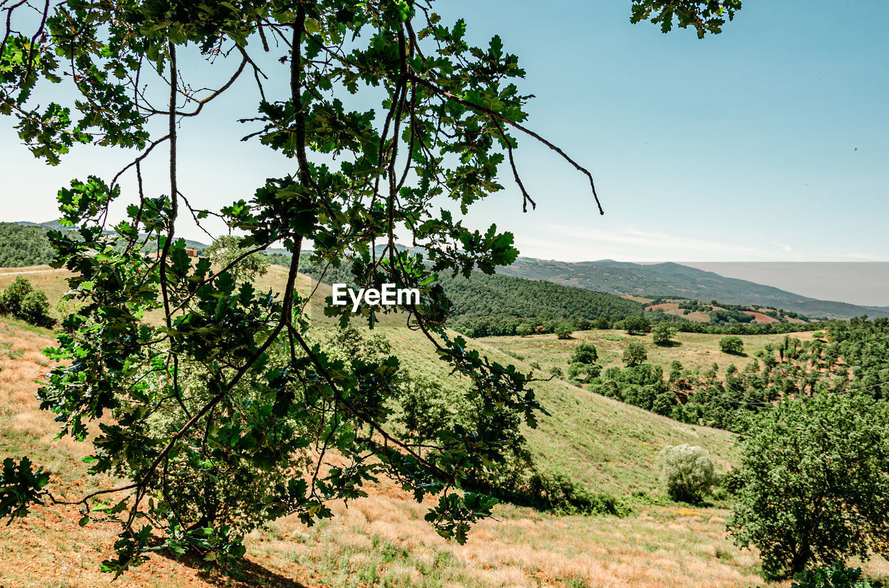 Tuscan landscapes