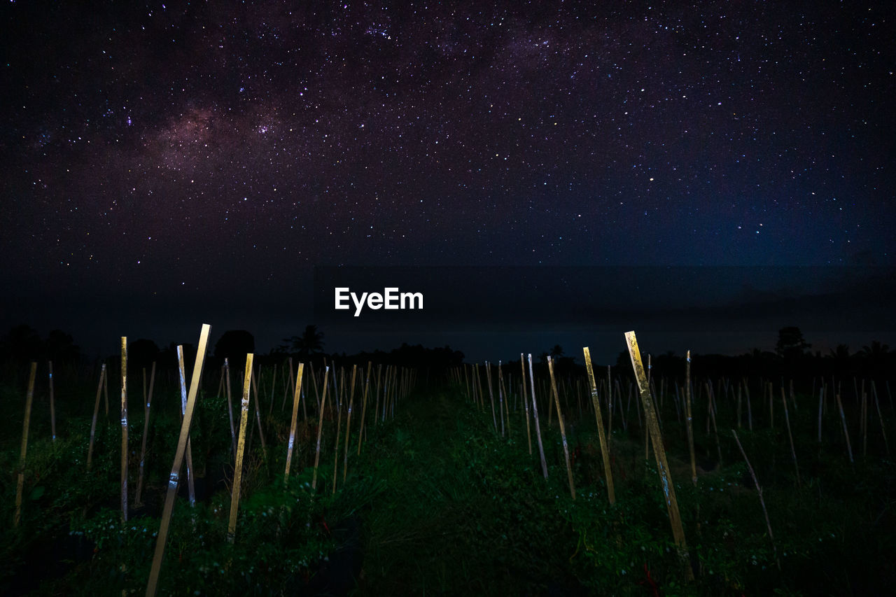 Scenic view of landscape against sky at night