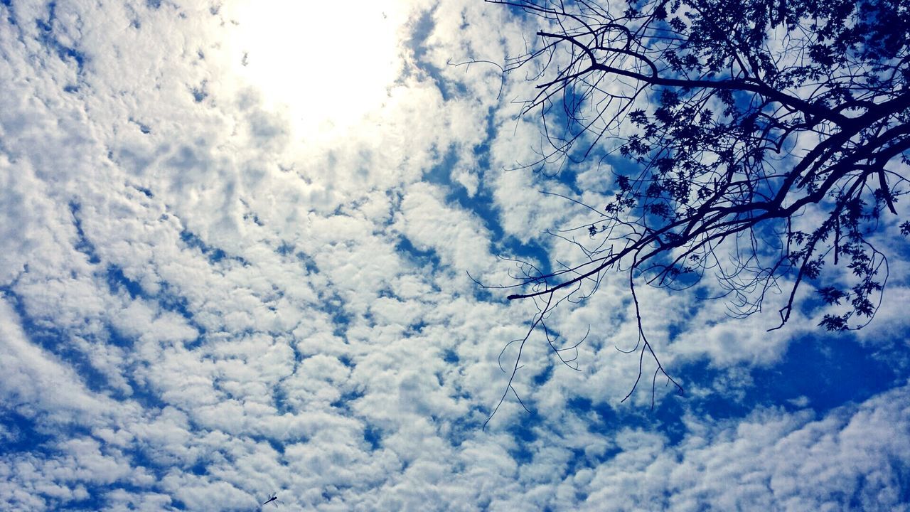 Low angle view of silhouette bare tree against cloudy blue sky