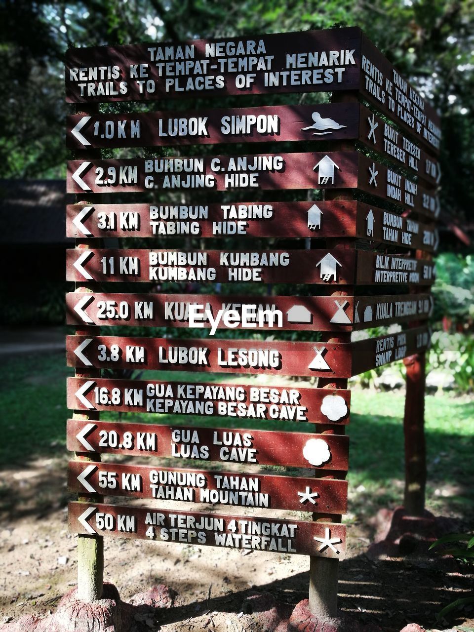 CLOSE-UP OF SIGN BOARD BY TREE