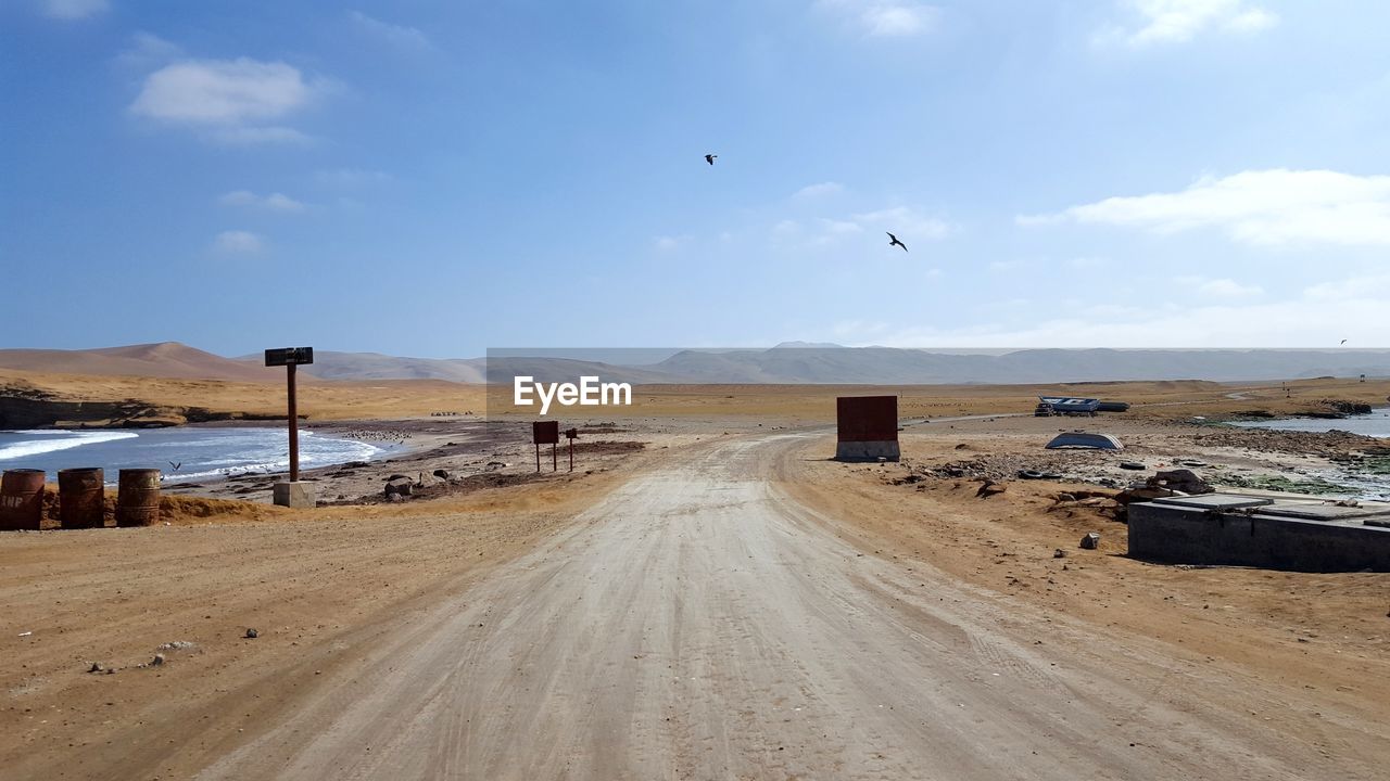 BIRDS FLYING OVER ROAD BY SEA