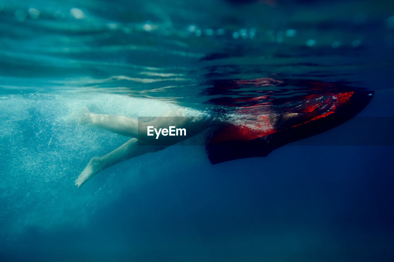 VIEW OF FISH SWIMMING UNDERWATER