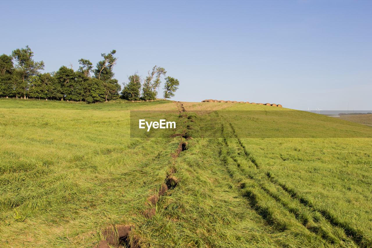 Track across a field from plowing a new power line in.