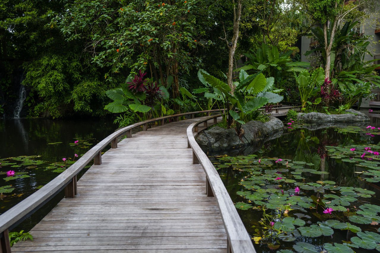 Wooden walkway leading through the pond