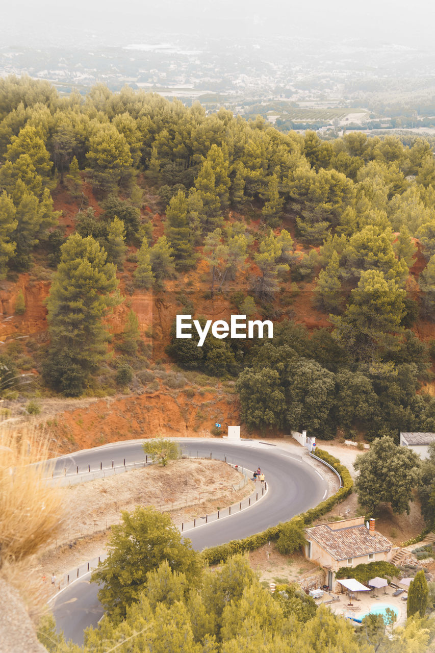 High angle view of trees by plants during autumn