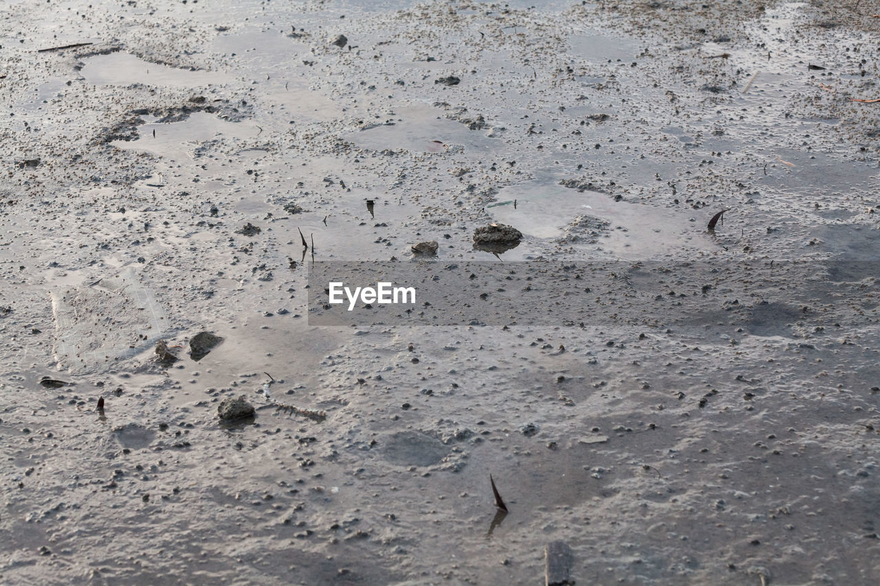 HIGH ANGLE VIEW OF FOOTPRINTS ON BEACH