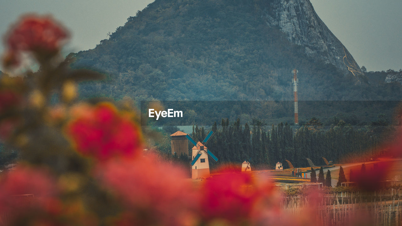 Panoramic view of trees and mountains against sky