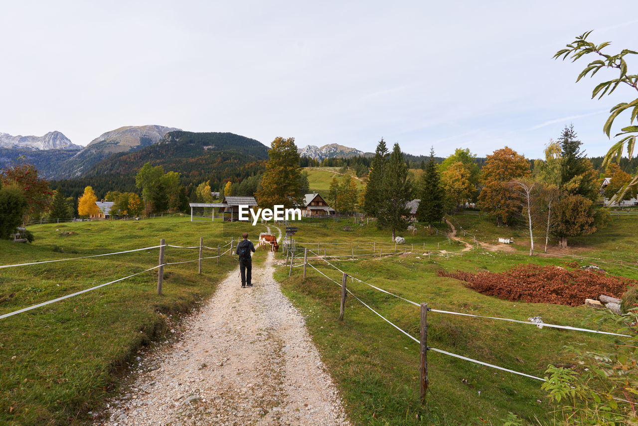 Man walking on footpath against sky in slovenia