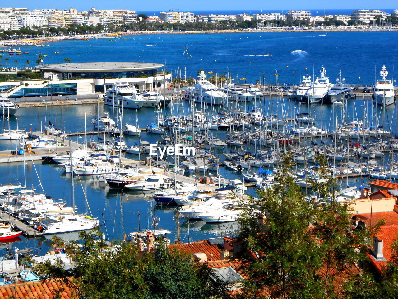 Cannes harbour from hill