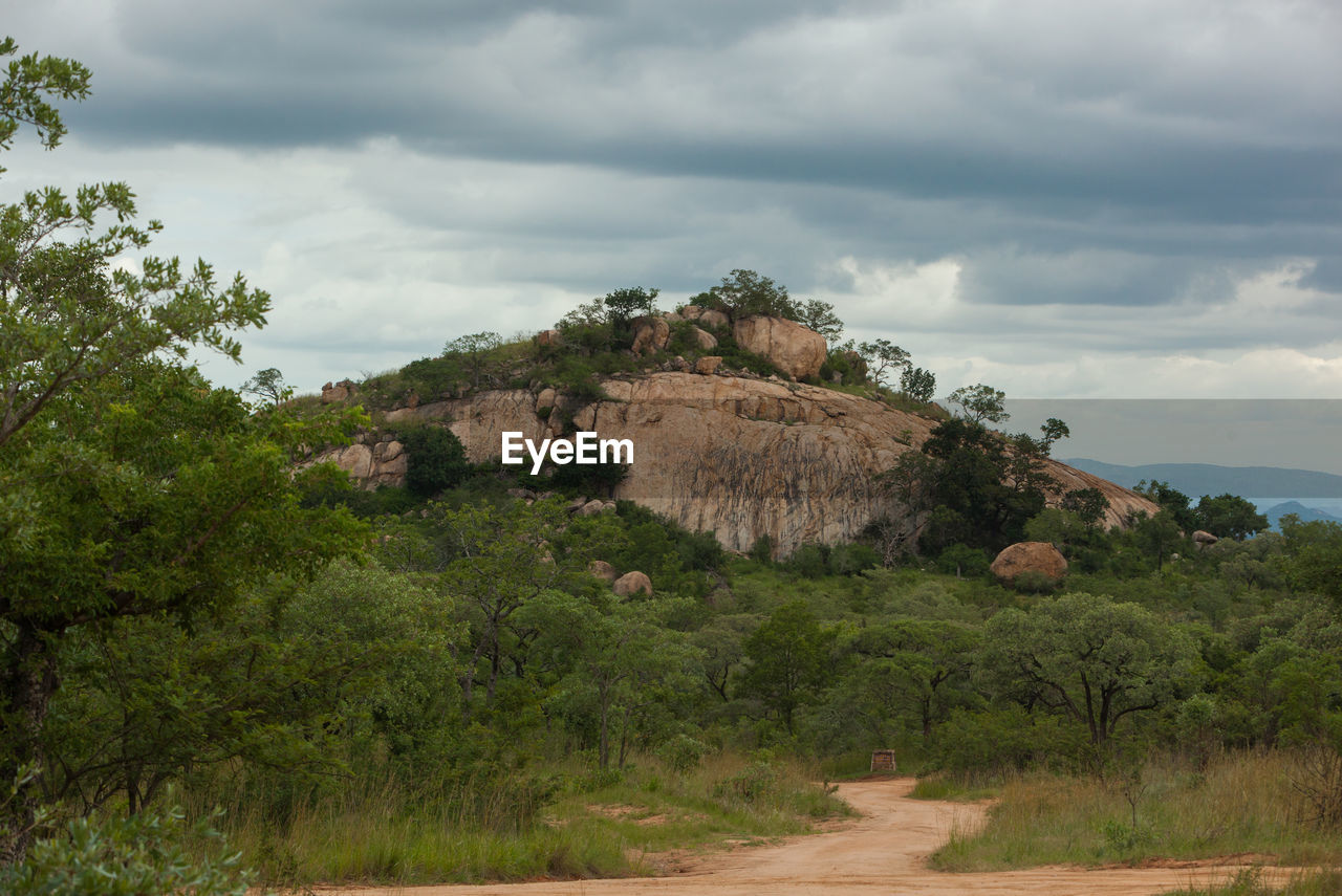 TREES ON LANDSCAPE AGAINST SKY