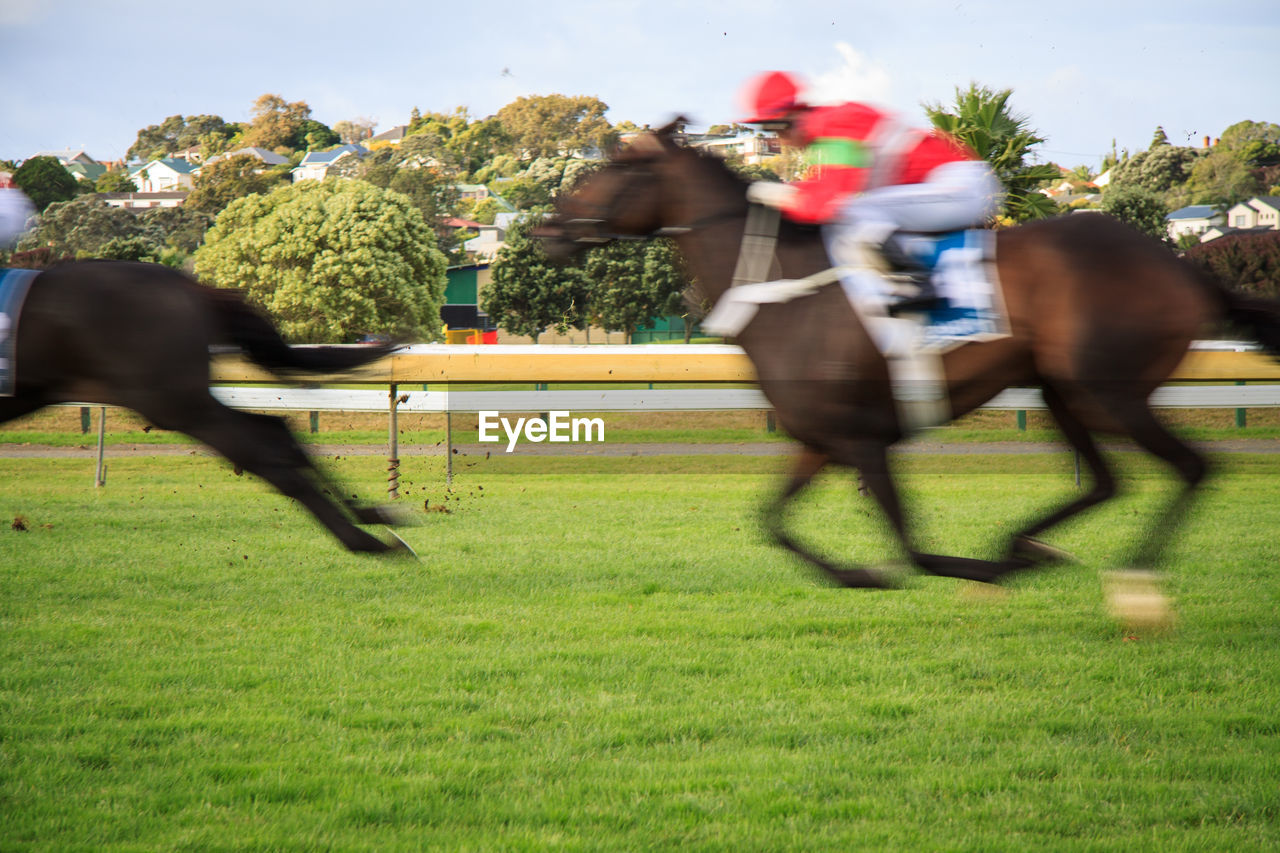 Blurred motion of jockey riding horse