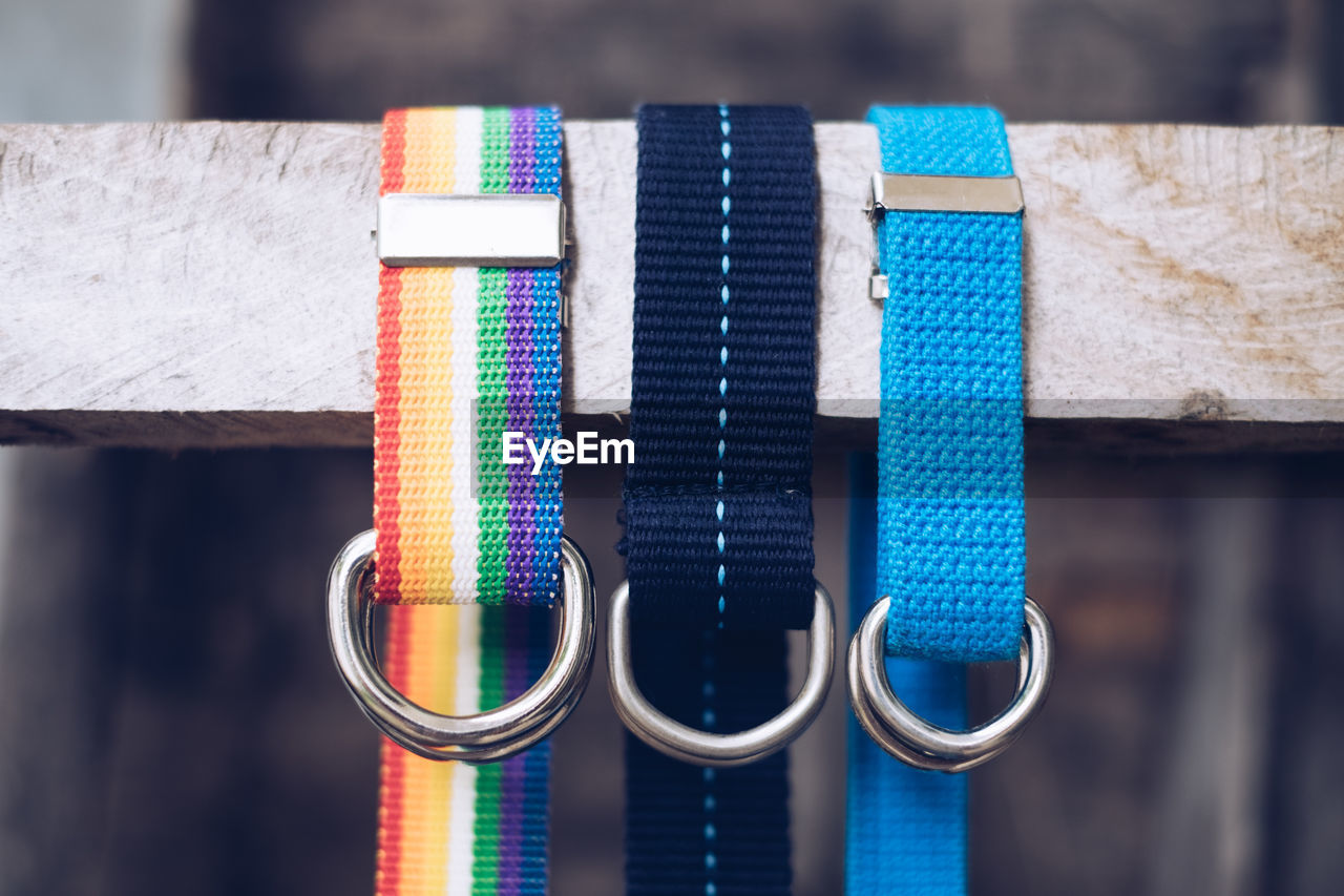 Close-up of multi colored pet leashes