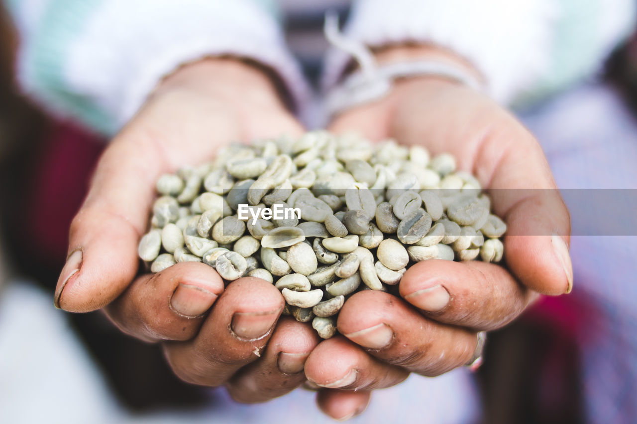 Cropped hands holding raw coffee beans