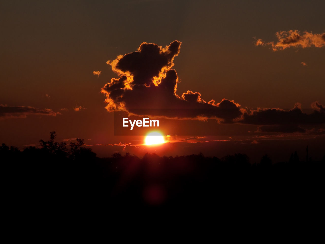 SCENIC VIEW OF SILHOUETTE TREE AGAINST SKY DURING SUNSET