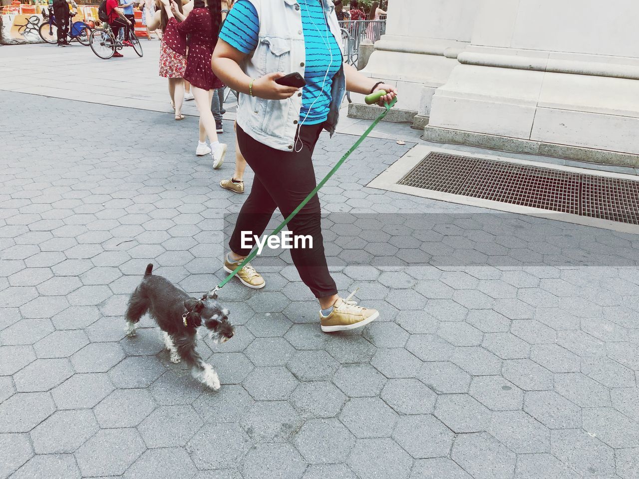 Low section of woman with dog walking on street