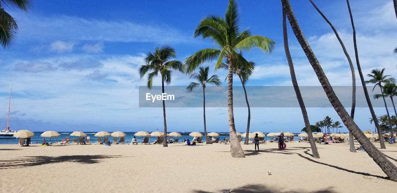 View of people at beach