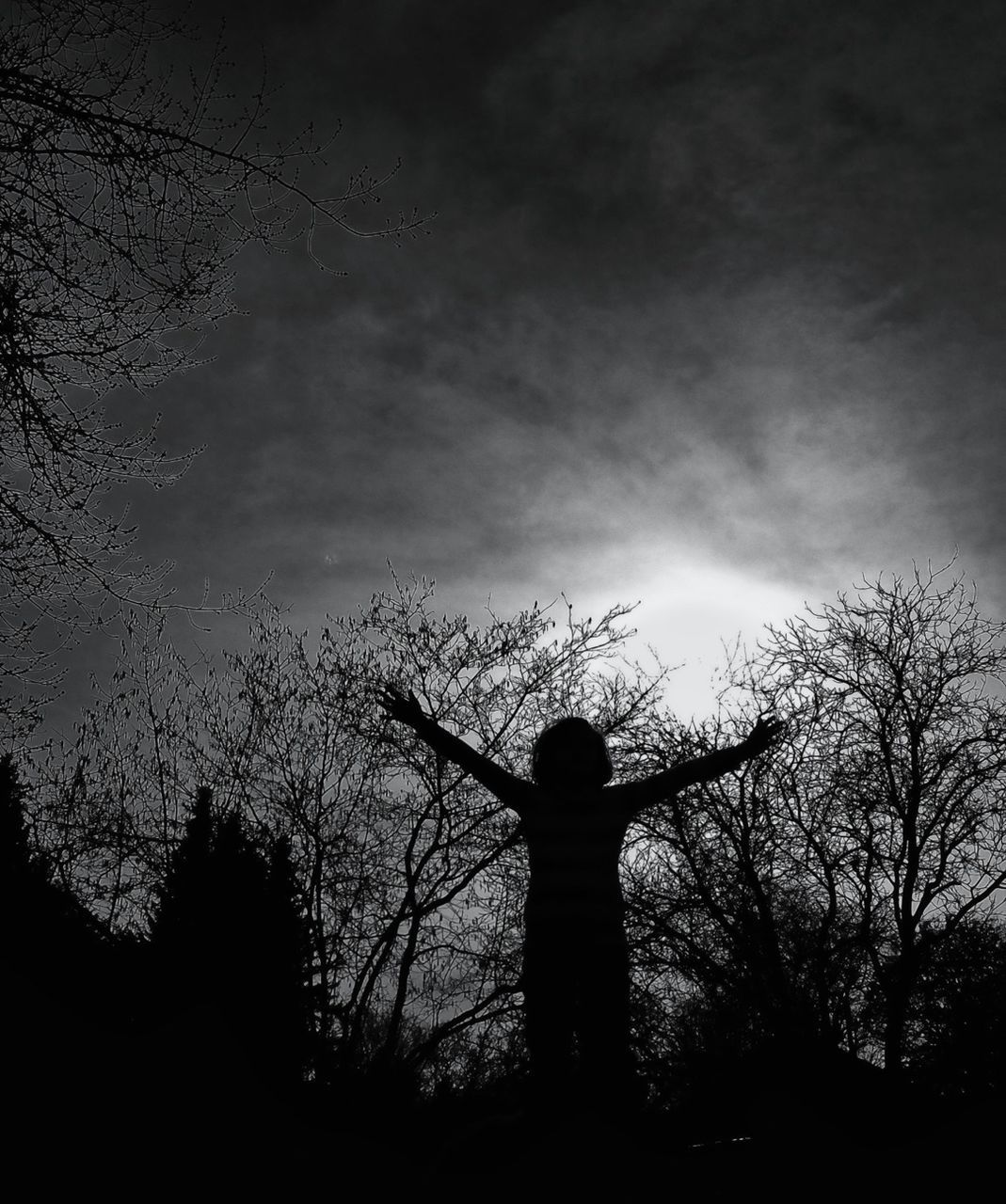 Rear view of silhouette kid with arms outstretched against bare trees