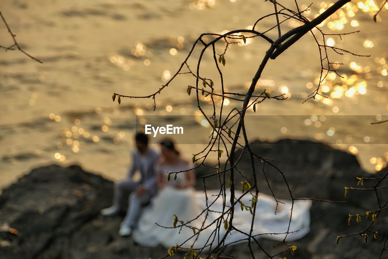 Close-up of branches against bridegroom sitting at lakeshore