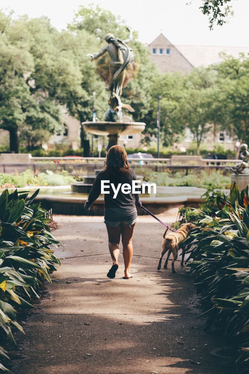 Rear view of woman with dog walking in park