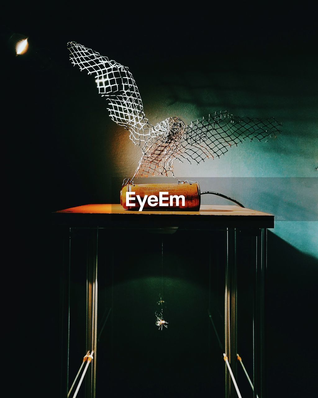 CLOSE-UP OF ILLUMINATED BIRDS IN BATHROOM